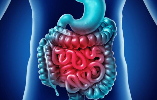 慢性腸炎手足耳按摩？慢性腸炎全身按摩？