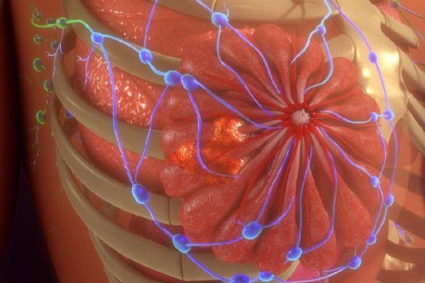 母乳喂養(yǎng)可預防乳腺癌？不喂母乳會的乳腺癌嗎？
