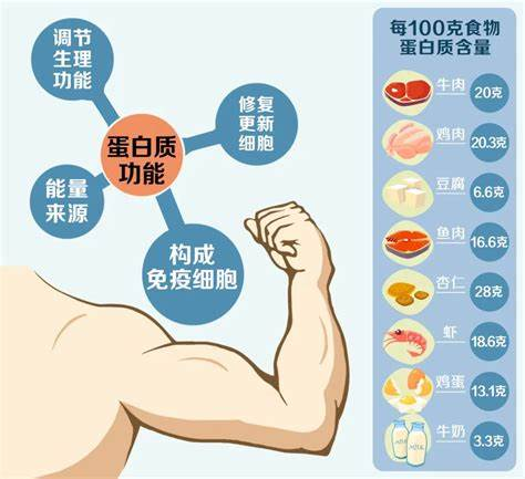 蛋白粉的功效，有哪些？這樣吃減少感冒生病