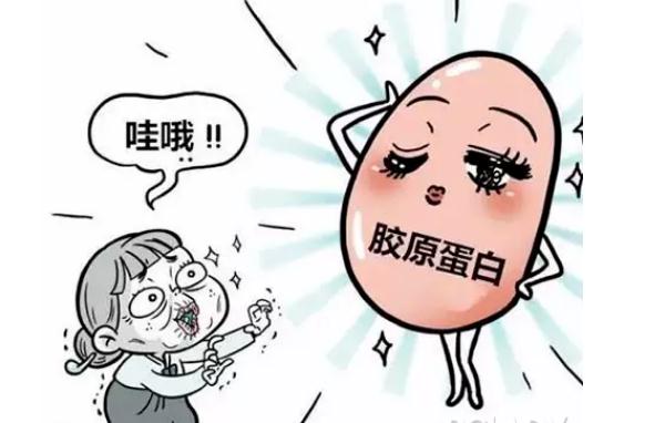 膠原蛋白對人體有哪些功能？吃膠原蛋白需注意哪些事項？