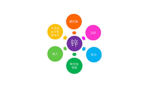 補(bǔ)鋅有什么作用？鋅什么時(shí)間吃吸收最好？