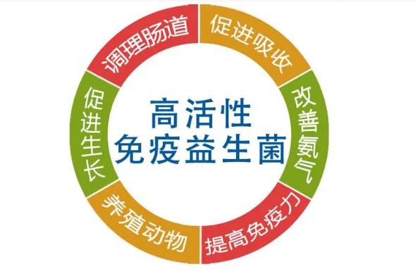 在什么情況下吃益生菌有用？益生菌可以天天吃嗎？