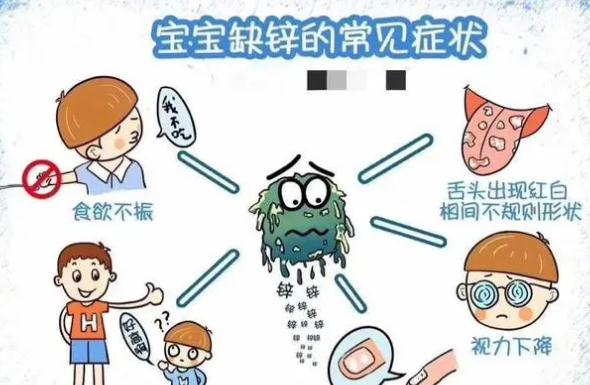 寶寶缺鋅的表現(xiàn)有哪些？鈣和鋅可以一起吃嗎？