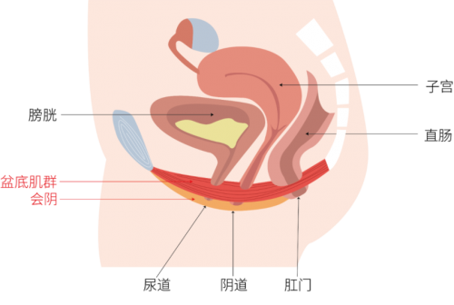 重慶女性做私密緊致除了手術(shù)還可以選擇哪些方式？