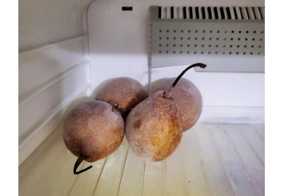 冰箱凍梨要凍多久呢？凍好的梨解凍需要多久？