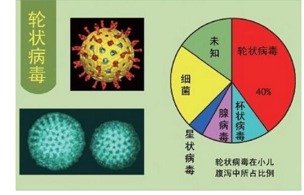 輪狀病毒發(fā)病有哪些特點？感染輪狀病毒后可以吃什么？
