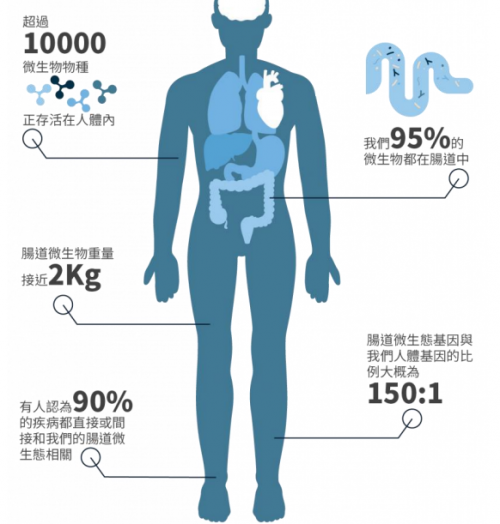 濕敏又有了新希望，PGut讓百億“益生菌”為你打工！