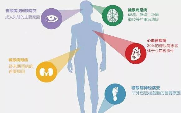 糖尿病是什么器官有問題 吃糖會(huì)得糖尿病嗎