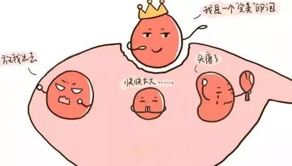 卵泡質(zhì)量與年齡有關系嗎 卵泡監(jiān)測有什么用