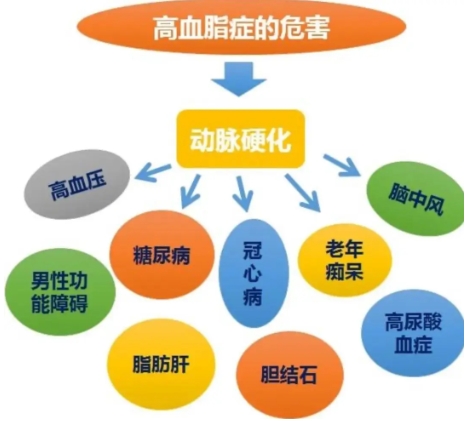 了解立普妥阿托伐他汀的副作用有哪些，科學(xué)用藥、高效降脂更安全