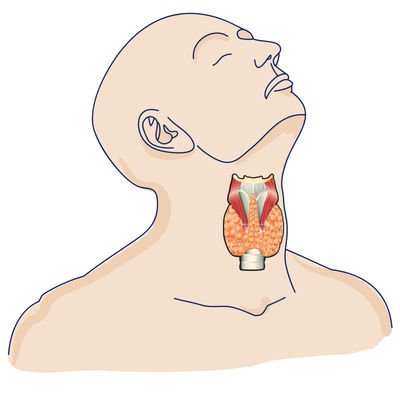 守護(hù)“蝴蝶”健康,從了解開始:成都醫(yī)附大甲狀腺醫(yī)院羅勇主任科普甲狀腺疾病知識